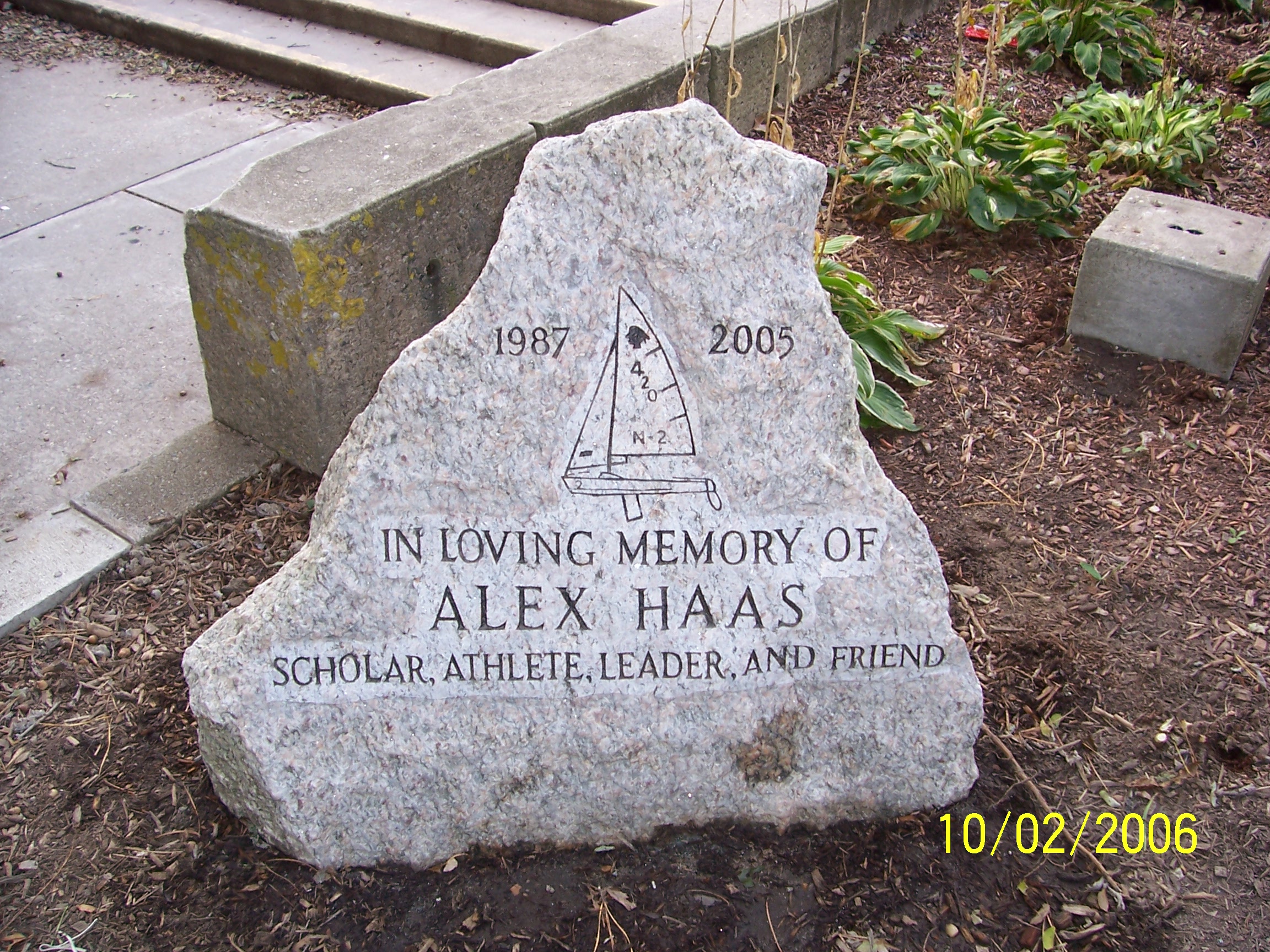 Alex B Haas